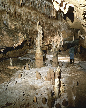 Grotte de Cussac Vue gnrale du secteur concrtionn, galerie de droite